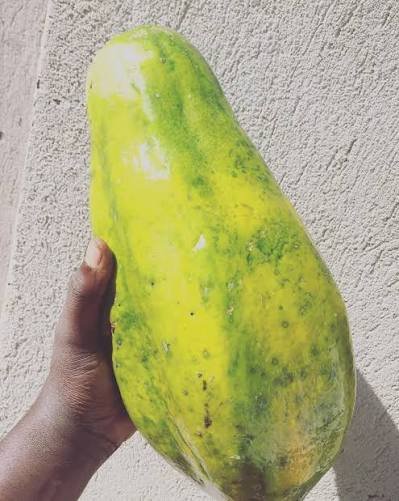 Papaya