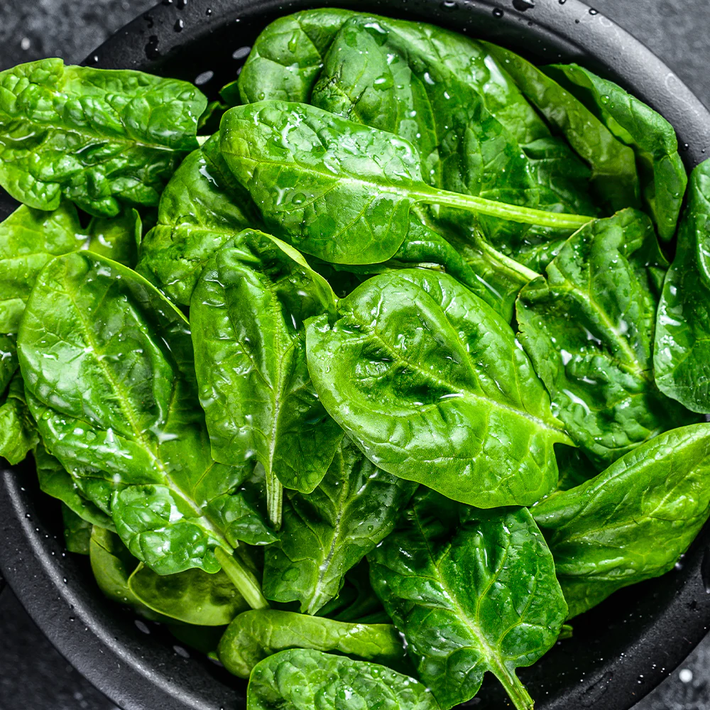 Fresh Spinach