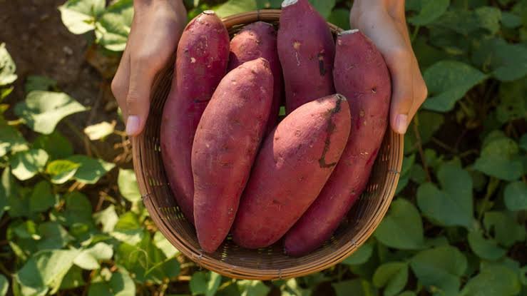 Sweet Potatoes