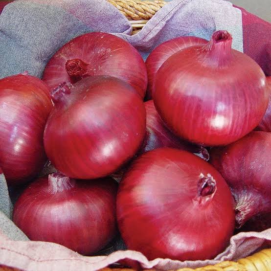 Onion