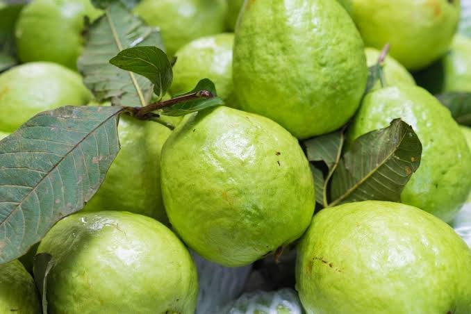 Guava (mapeera)