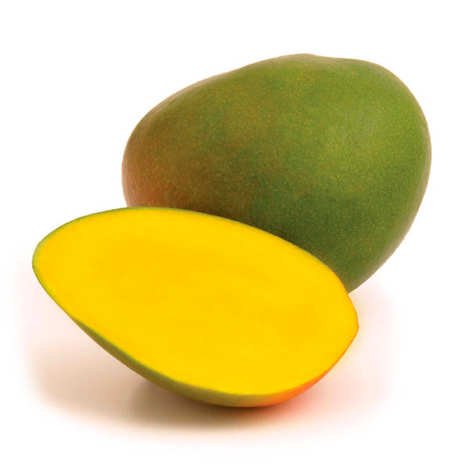 Organic Kent Mangoes supplied by NextoAgro Exports
