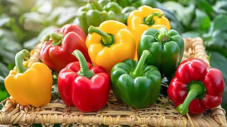 Sweet Bell Peppers
