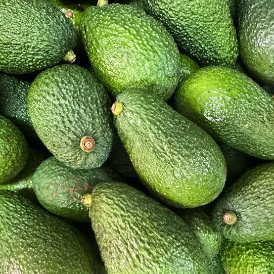Hass Avocados supplied by NextoAgro Exports