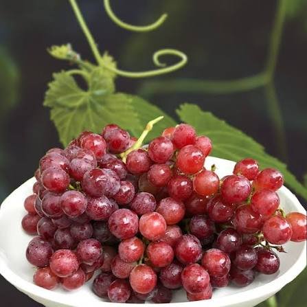 Grapes (Emizabbibu)