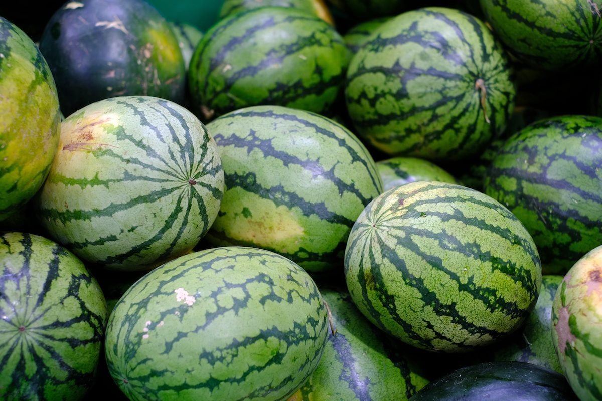 Watermelon