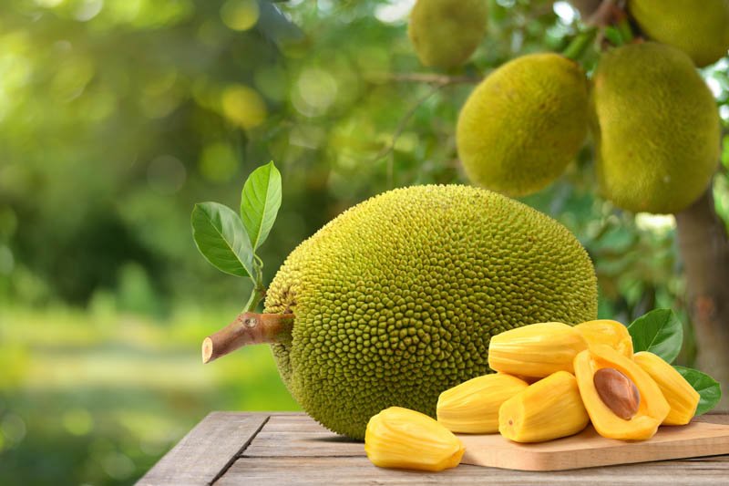 Jackfruit (Ffeene)