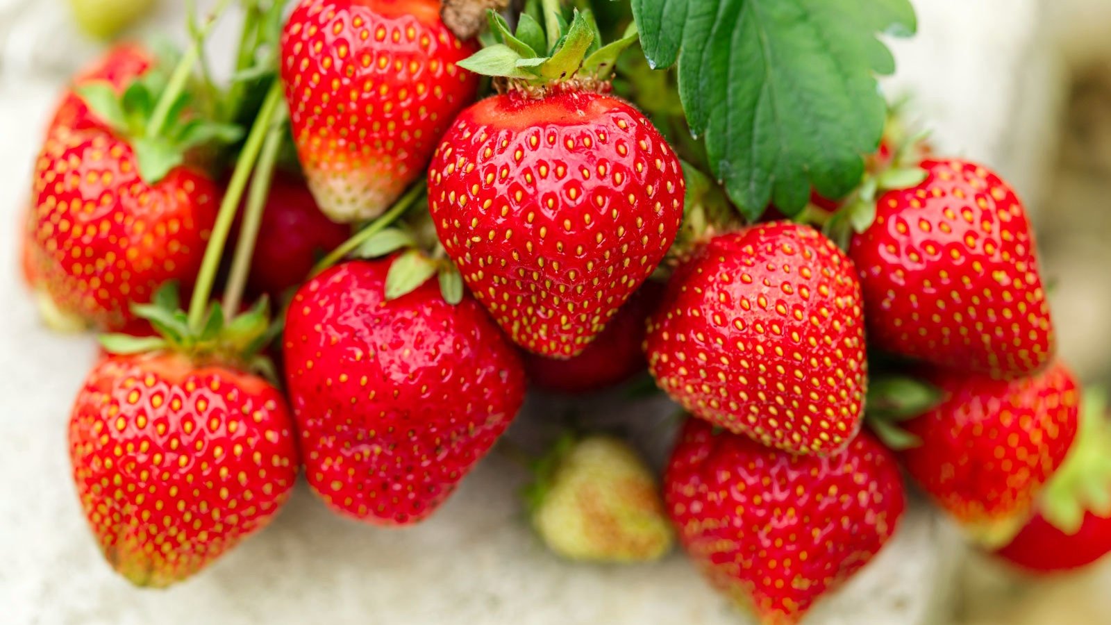 Sweet Strawberries