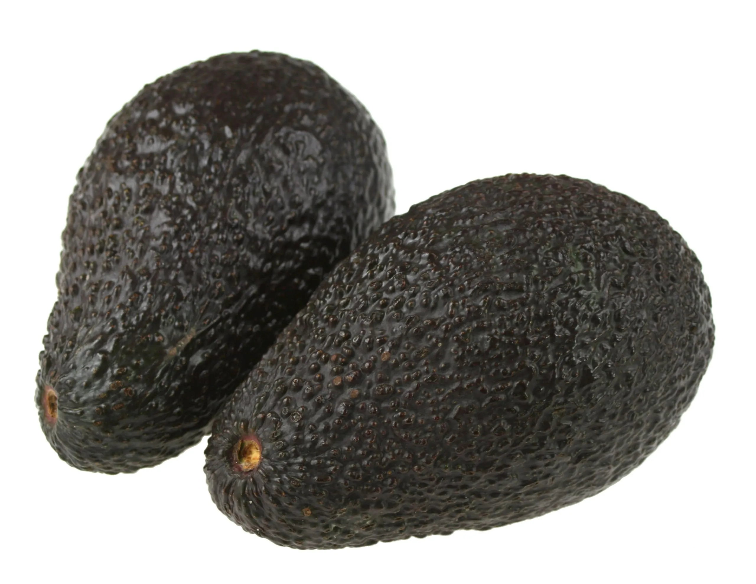 Hass Avocados