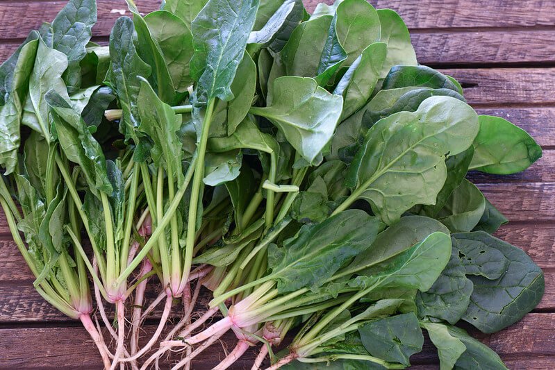 Fresh Spinach
