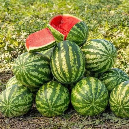Watermelon